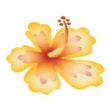 Трафареты цветов “Гибискус” 