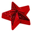 Поликарбонатная форма “Звезда” 