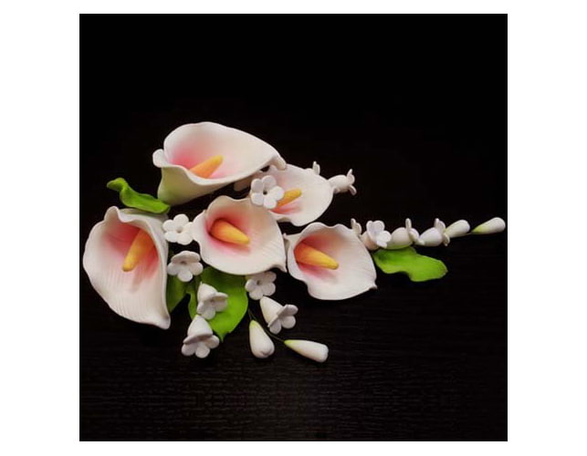 Сахарные цветы из мастики «Калы», Казахстан - купить Сахарные цветы в интернет-магазине Forcakes