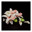 Букет из мастики “Каллы и Орхидеи” 