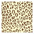 Переводной лист “Леопард” 