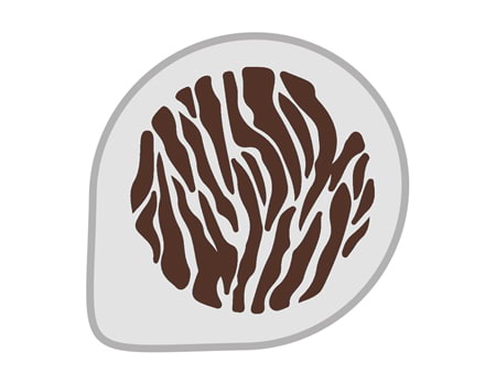 Трафарет для украшения тортов “Зебра” 