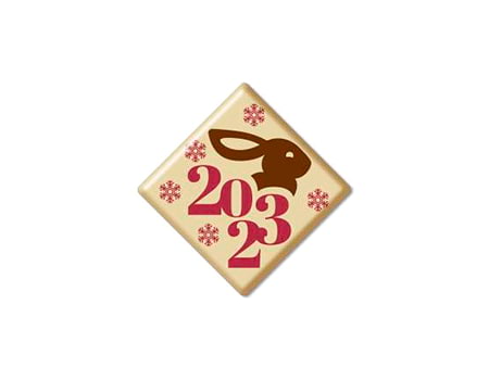 Формы с рисунком на шоколад “Кролик 2023” 