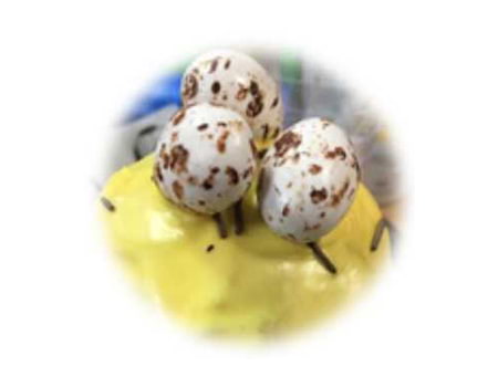 Драже с шоколадом “Перепелиное яйцо” 