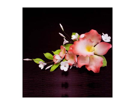 Букет из мастики “Орхидеи красные” 