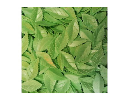 Вафельные листья “Лист розы зеленый” (13925) 